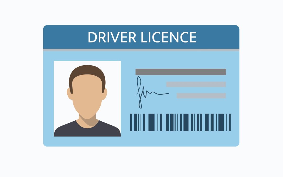 Driver license document isolated on white. Vector